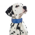 PROCYON Kühl-Bandana für Hunde - M