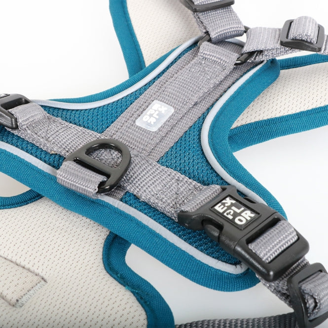 Duvoplus EXPLOR Ultimate Fit No-Pull-Geschirr - petrol blue - XS - 28-37cm - 32-43cm