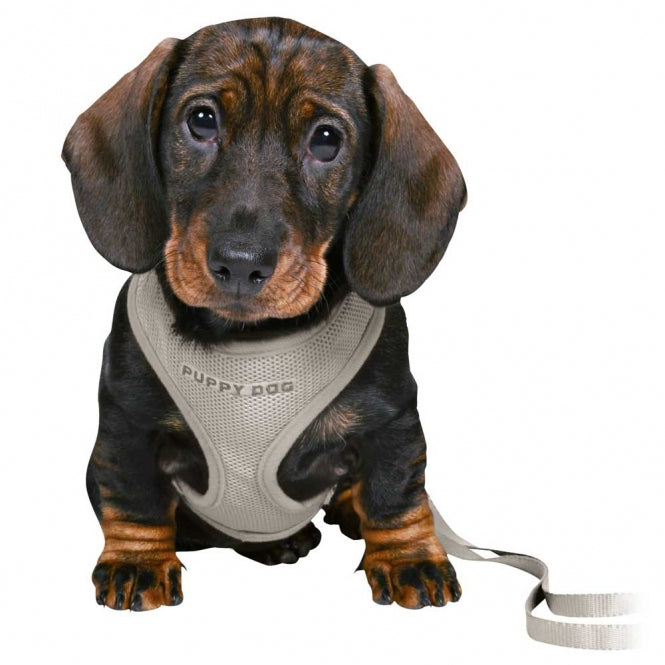 Trixie Junior Welpen-Softgeschirr mit Leine - hellgrau