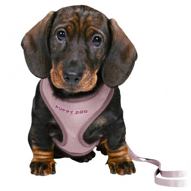 Trixie Junior Welpen-Softgeschirr mit Leine - hellgrau