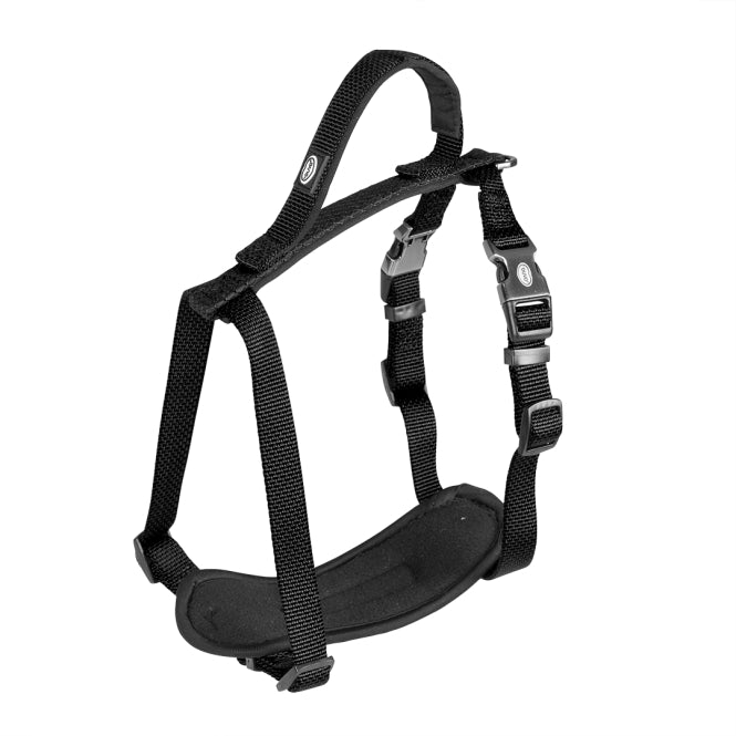 Duvoplus EXPLOR North Geschirr - Schwarz - 65-80cm/25mm