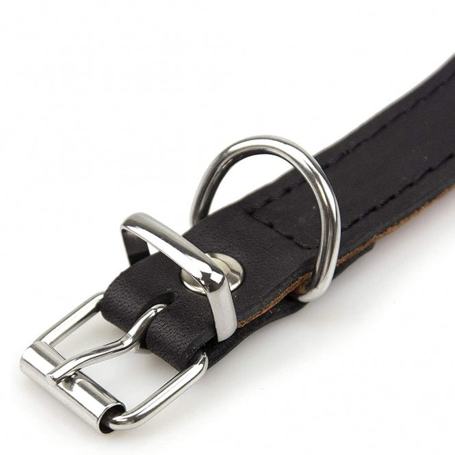 Karlie Rondo Windhund-Halsband - Schwarz - 45cm/55mm