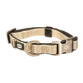 Duvoplus EXPLOR North Halsband - Taupe - 40-65cm/25mm
