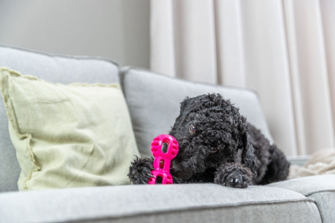 Trixie Soft & Strong Hantel - 14,5 cm