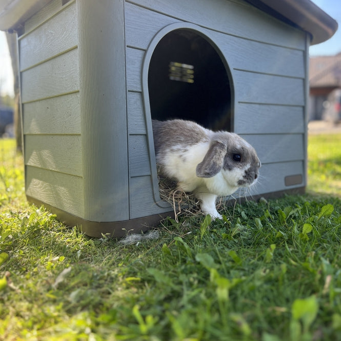 Duvoplus Tierhaus Pepita Eco - grün - 76 x 59 x 55cm