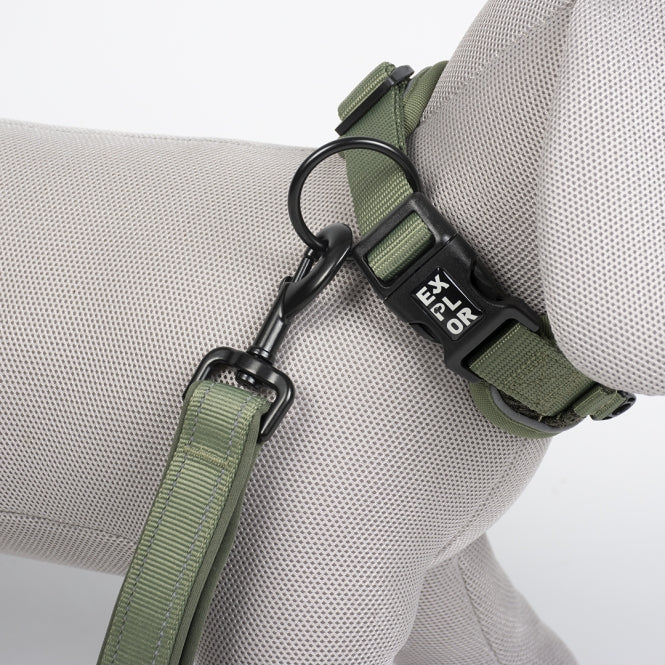 Duvoplus EXPLOR Ultimate Fit Control Halsband Classic - undercover green - M - 39-44cm