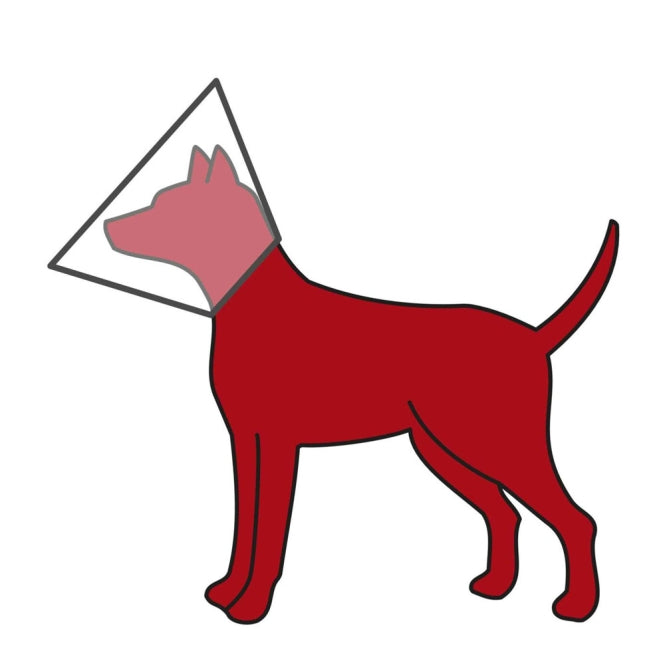 Trixie Schutzkragen aus Kunststoff - L: ø 44-50 cm/25 cm