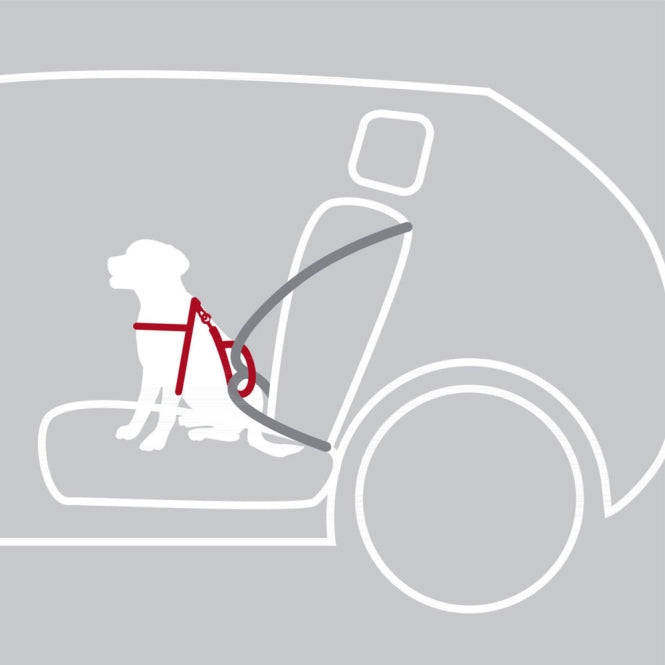 Trixie Auto-Sicherheitsgeschirr Dog Protect - S-M: 40-55 cm