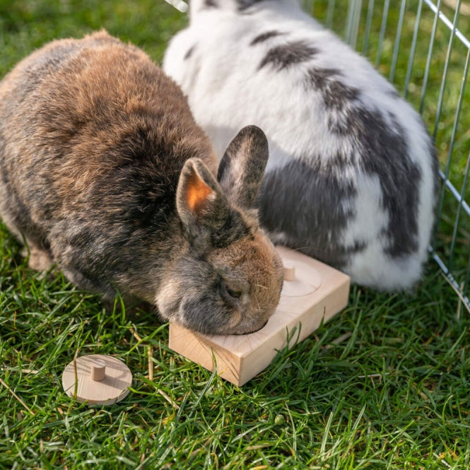 Trixie Snack Box für Vögel und Kleintiere