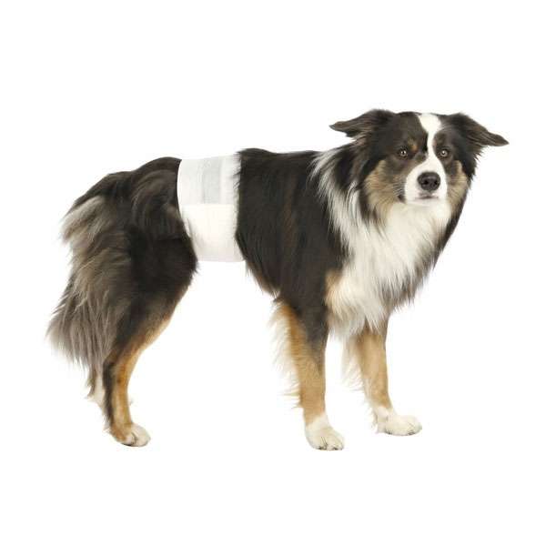 Trixie Hundewindeln für Rüden - XS