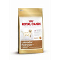 Royal Canin Labrador Retriever Adult - 12 kg